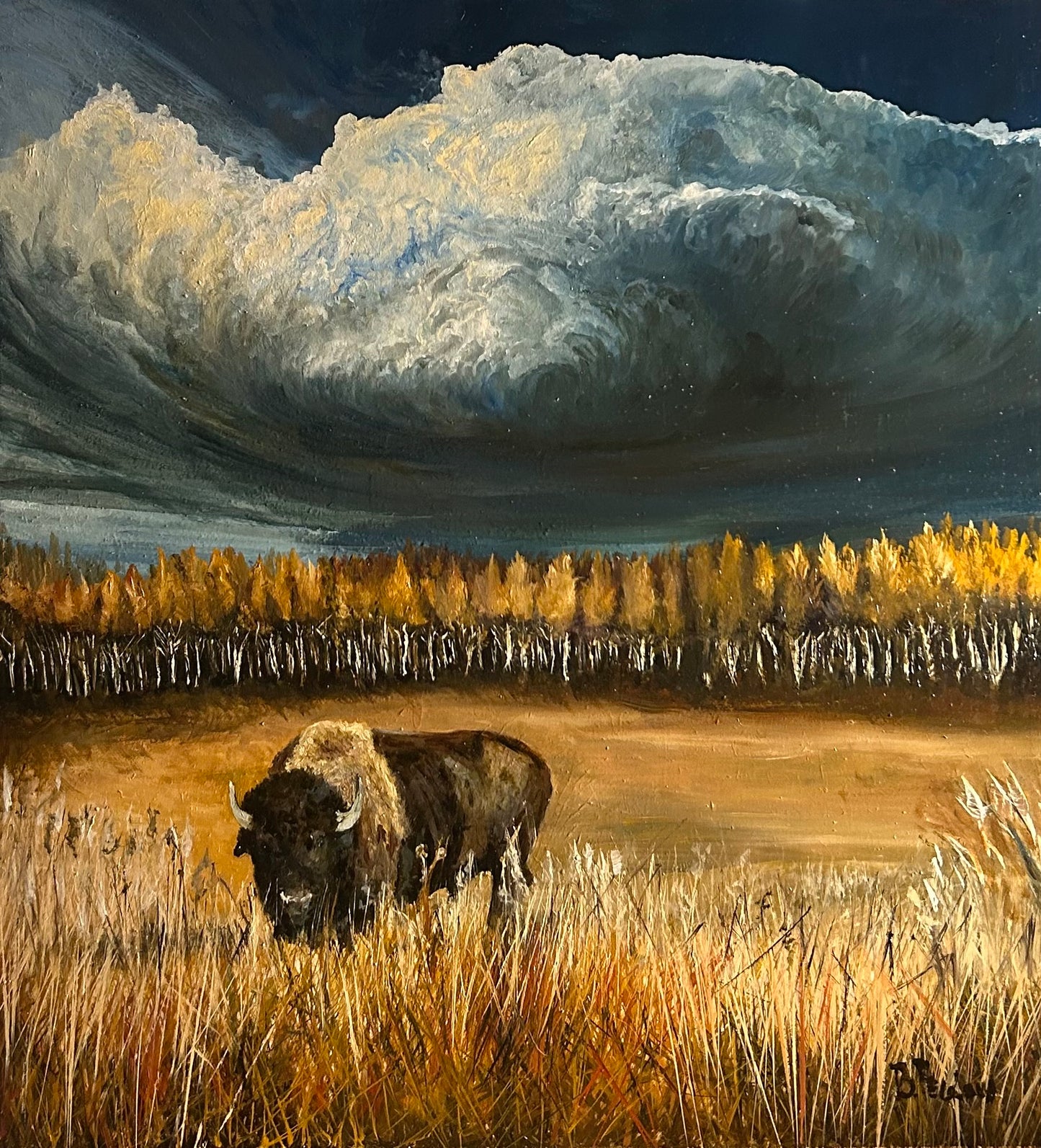 Buffalo Fall