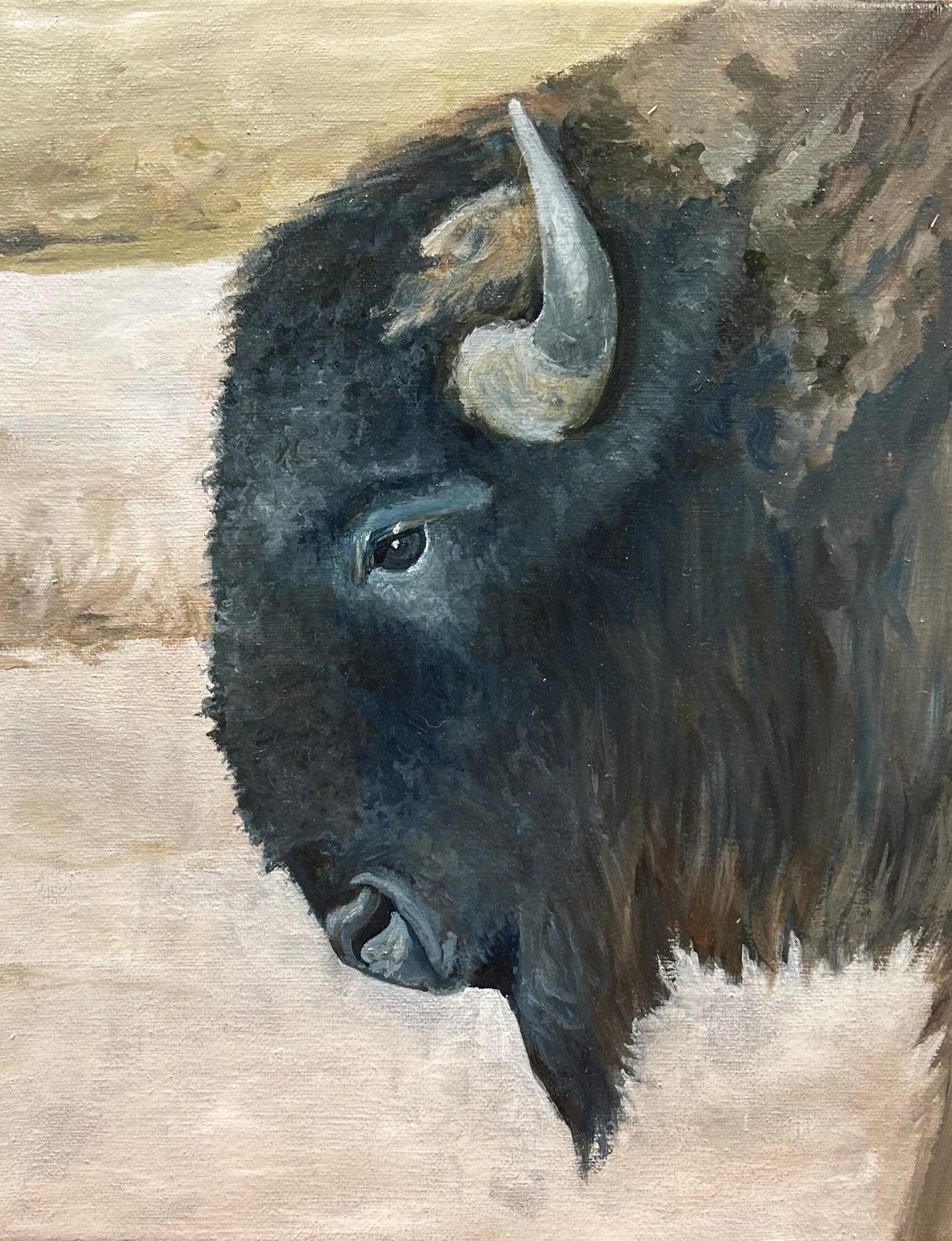 Majestic Bison #1
